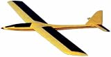 TALON SAILPLANE KIT DYFA2017