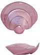 Small Glass Orchid Pink Cockle Shell Dish 6 1/4" x 7 1/4" Set / 2