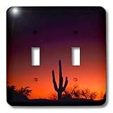 Sandy Mertens Arizona - Sabino Canyon - Light Switch Covers - double toggle switch