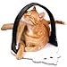 Kitchen & Housewares : Omega Paw Cat Arch Groomer (18L x 11.5W x 11.25H)