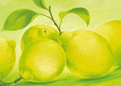 Eurographics SUB1110 Susanne Bach, Lemon 30 x 40 cm, Hochwertiger Kunstdruck Preisvergleich