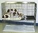 Precision Pet Puppy Pen, Regular 1/2 x 6-Inch Mesh Floor, 36 x 24 x 30-Inch, Chrome