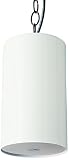 Valcom Pendant Speaker, White, White item known as : V-1015B-WW