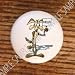 BABY LOONEY TUNES WILE E COYOTE #01 DRAWER PULLS KNOBS