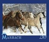 Marbach Gestuetskalender 2009