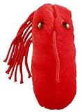 Giant Microbes: Typhoid Fever