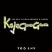 Kajagoogoo -
