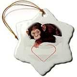 Valentines Day - Valentines Monkey - Ornaments