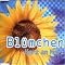Alle CD-Singles von Bl�mchen 1995 - 2001