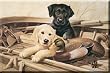 Lynn Kaatz Almost There Refrigerator Magnet