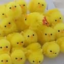 12 Medium Super Fluffy Easter Chicks