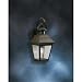 16-1/2-Inch Outdoor Wall Light