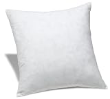 Pinzon Feather And Down 18-Inch Square Pillow Insert