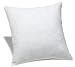 Pinzon Feather And Down 18-Inch Square Pillow Insert