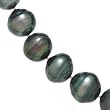 Tahitian Black Pearl A Grade Necklace with 14k White Gold Clasp-16" or 18"