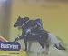 Breyer #467 - Midnight Tango