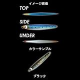 Jazz(ジャズ) 爆釣JIG センター ブラック 400g