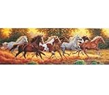 Picture Panoramic Running Horses Jigsaw Puzzle 1000pc