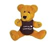 Plush 9-Inch Teddy Bear Wearing "I Love My Funeral Director" Shirt