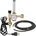 Co2 Regulator & Valve