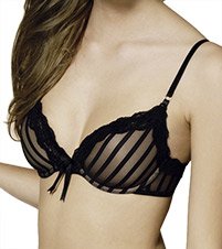 Elle Macpherson Intimates Sheer Ribbons plunge bra