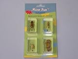 Micro-Fun Specimens: Bugs Set 2 (Cricket, Locust, Yellow Leaf Beetle, Crab)