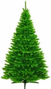 6.5' Moss Grand Fir Tree