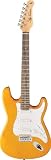 Jay Turser 300 Series Jt-300m-nh Electric Guitar, Natural Honey