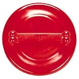 Flexible Rainbow Frisbee - Medium