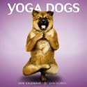 Yoga Dogs 2010 Wall Calendar Publisher: Browntrout (Format:standard Wall)