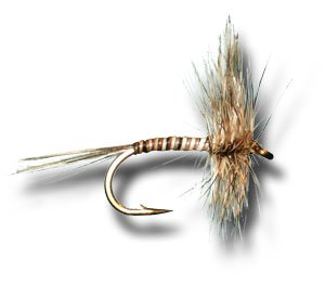 Mosquito Fly Fishing Fly