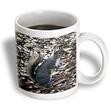 Wild animals - Gray Squirrel - Mugs