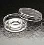DISH W/O ABSORBENT RING CS500 - BD Falcon Organ Culture Dish, Sterile, BD Biosciences