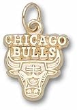 Chicago Bulls 3/8 Logo Charm - 14KT Gold Jewelry