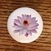 FLOWERS ELYSIAN FIELDS WATER LILY DRAWER PULLS KNOBS