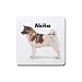 Akita Rubber Square Coaster (4 pack)