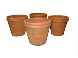 Greenhouse Collection Medium Peale Pots (Set of 4)