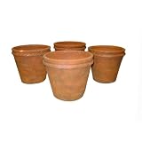 Greenhouse Collection Medium Peale Pots (Set of 4) by 