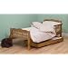 Saplings Pine Junior / Toddler Bed Antique Finish with Foam Mattress