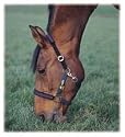 Kavallastic Halter - Medium (cob) Yellow