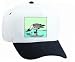 White Cap with water, seabird, gray, seagull, drinking