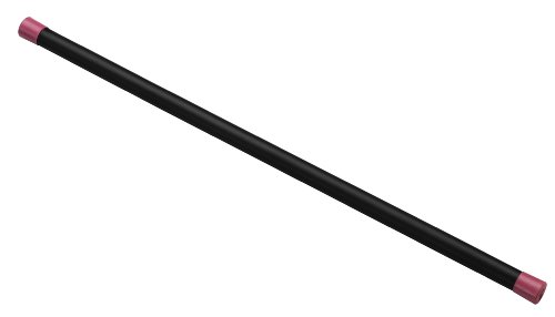 The Bar F2002W 9-Pound Weighted Bar