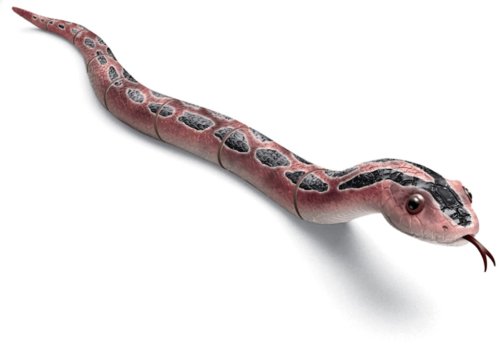 Childrens Toyshop  Toys : Uncle Milton - Radio Control Snake