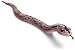 Toys : Uncle Milton - Radio Control Snake