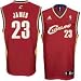 LeBron James Cleveland Cavaliers Burgundy Youth Replica Adidas NBA Jersey Size: Large