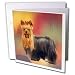 yorkshire_terrier35yorkshire terrier - Dogs Yorkshire Terrier Yorkshire Terrier Greeting Cards12 Greeting