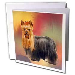 image link - - B002Q8Q9KY