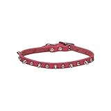 UPC 800443095768 product image for Petco Pink Leather Spiked Dog Collar | upcitemdb.com