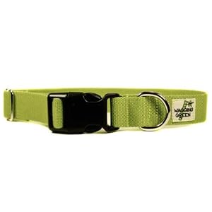 Designer Dog Collar - Bamboo Zen Double Layer Buckle Dog Collar - Green - Large - Made in USA
