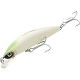 Fishing: Yo-Zuri Mag Minnow